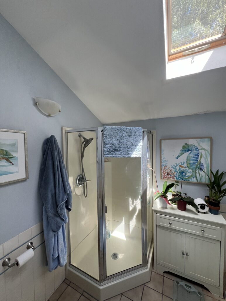 Bright bathroom with shower, skylight, plants, and blue towel.