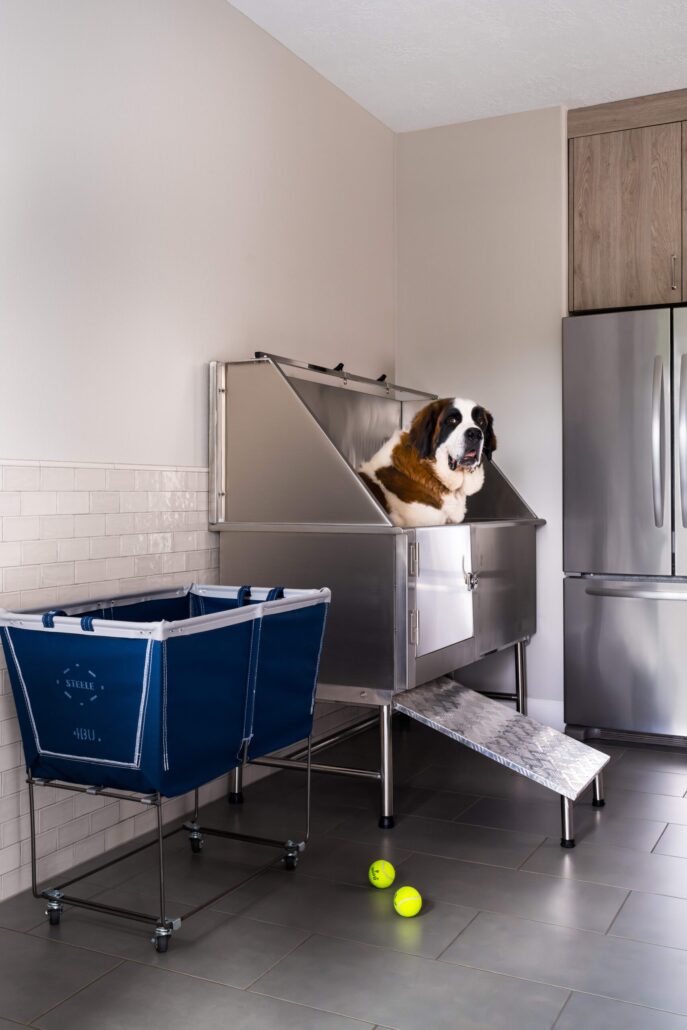 Large dog in a home grooming station with laundry cart and tennis balls nearby.